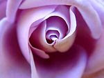 atheana's photo