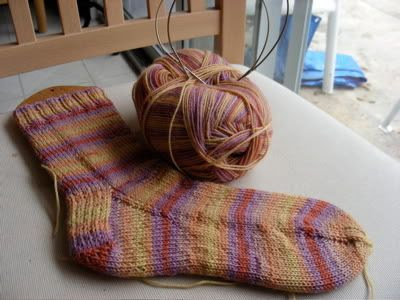 J Regia Africa socks