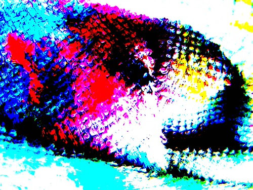 poems 2011 029b by jim leftwich