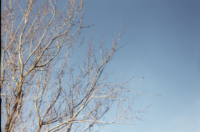 35mm BellHowell Roll
