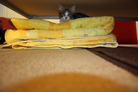 kendra's new home 2
