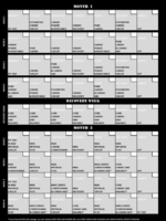 insanity workout sheet jpg