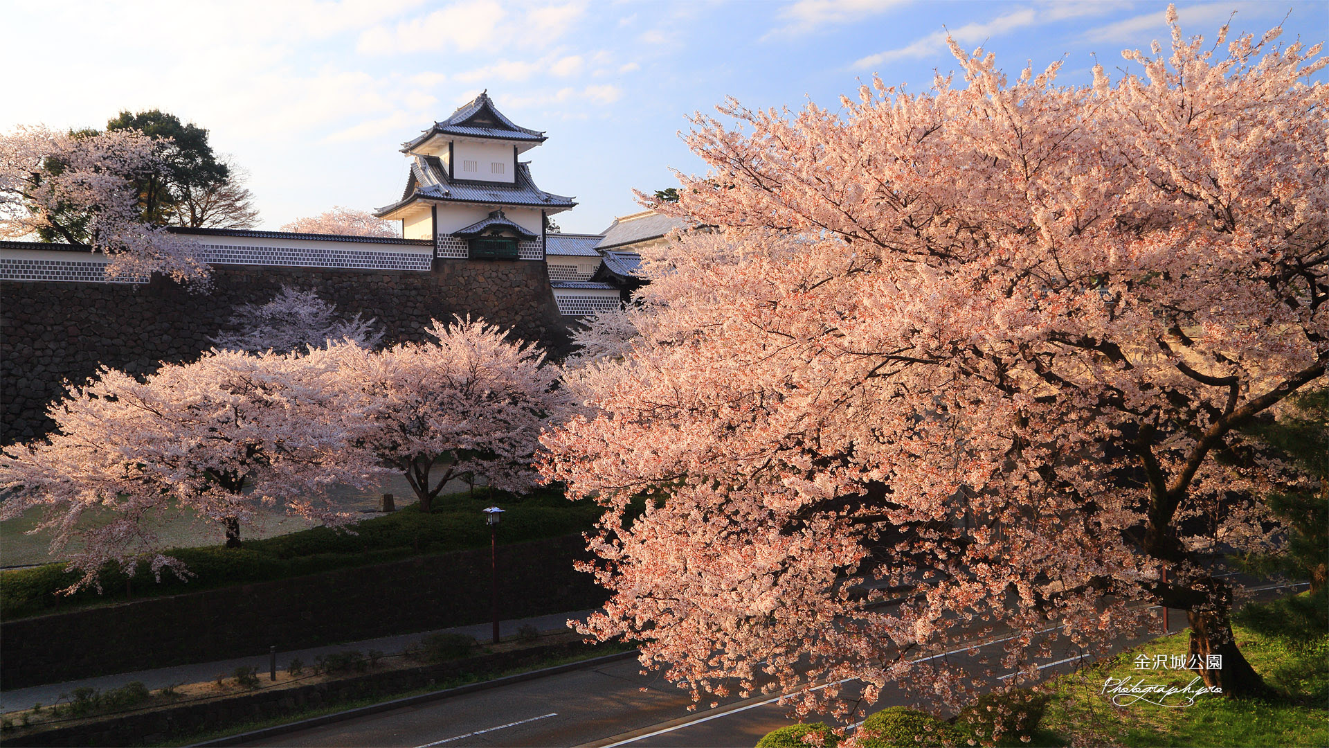 金沢城百間堀の桜 の壁紙 19x1080