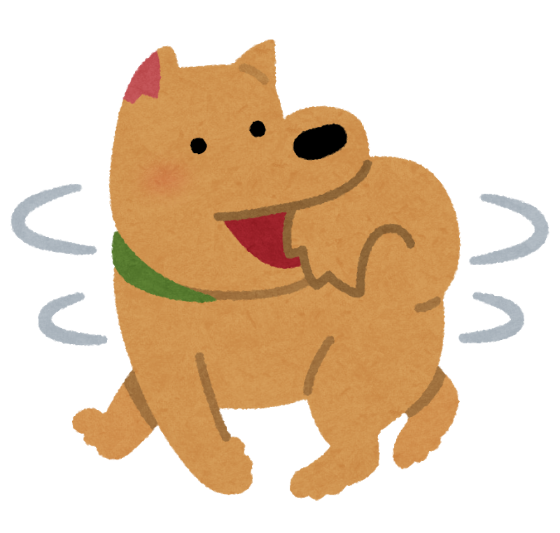 犬が尻尾を追いかけて噛む理由は 放っておいても大丈夫