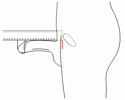measure