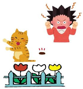 猫によるふん害等にお困りの方へ いわき市役所