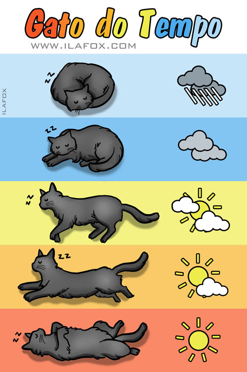 Gato do tempo, termômetro felino, wheather Cat, by ila fox