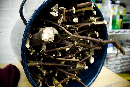 twigs