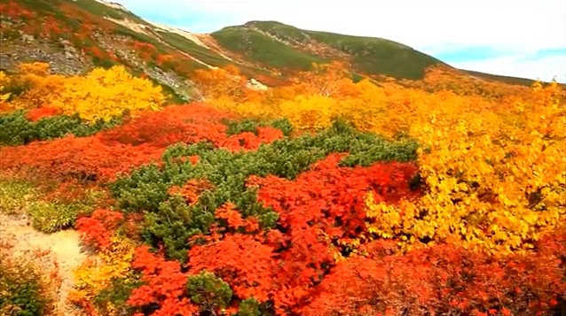 長野県 乗鞍高原 信州の紅葉名所 Feel 55