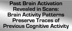 BrainScans