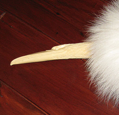 golden eagle head. closeup of golden eagle head