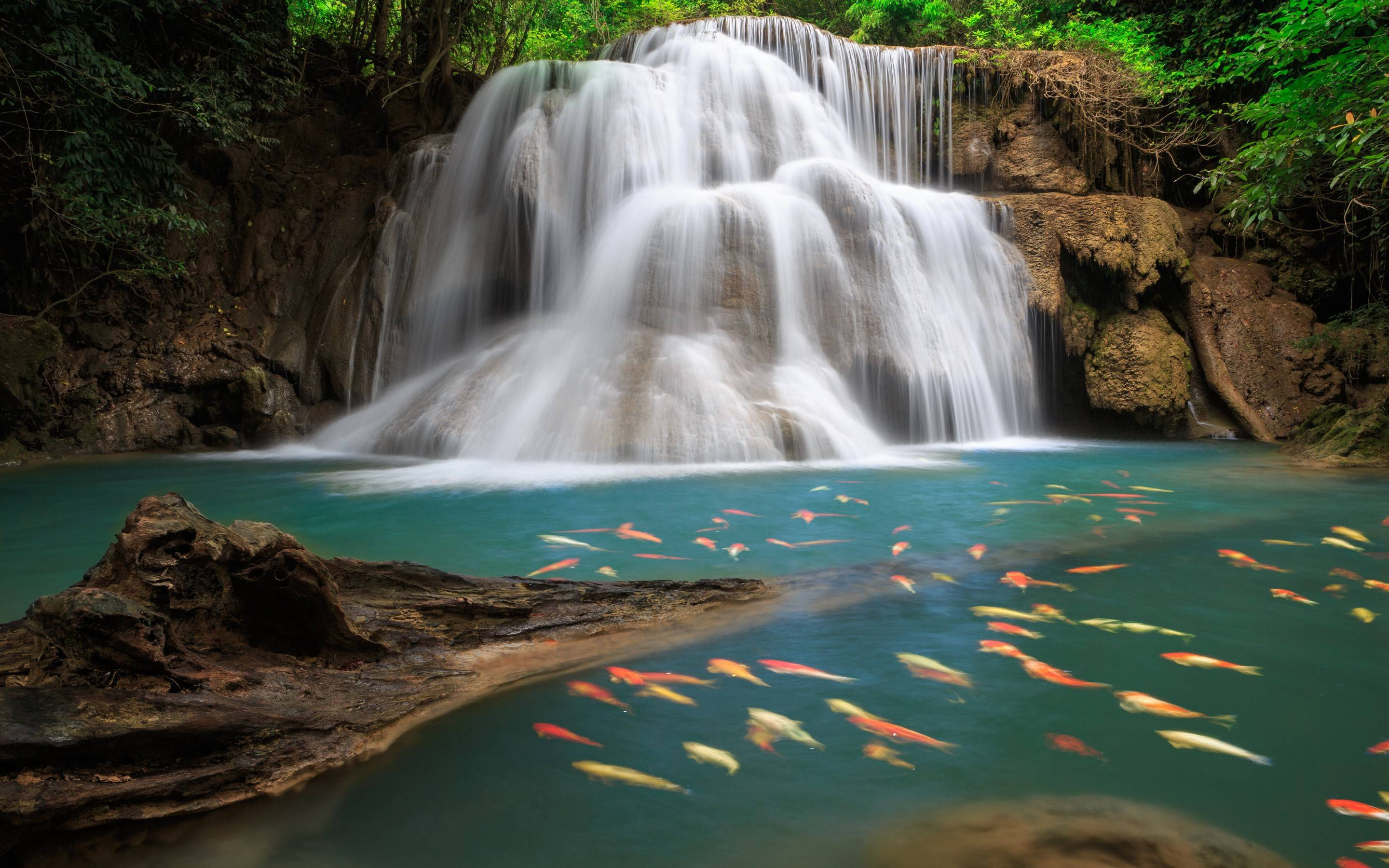 Waterfall Backgrounds Pictures Wallpaper Cave Waterfall Backgrounds Pictures Wallpaper Cave