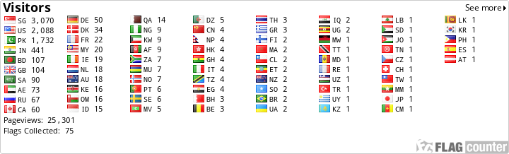 Flag Counter