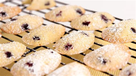 lemon blueberry madeleine recipe laura vitale laura