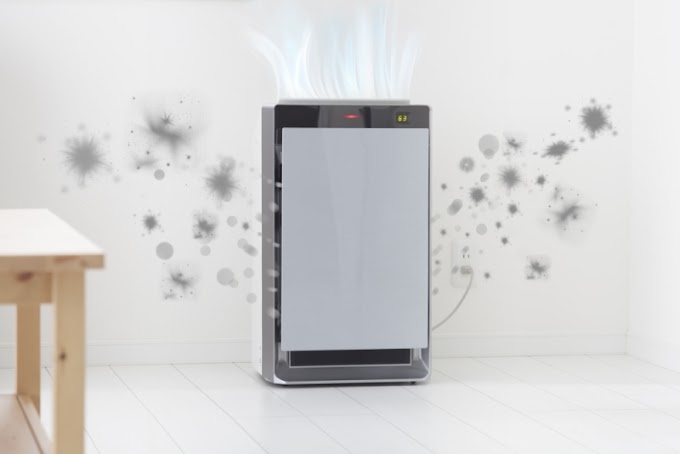 Best Air Purifier For Mold: Make Your Living Space A Healthy One