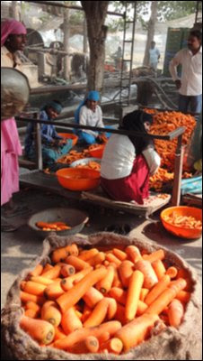 Carrots