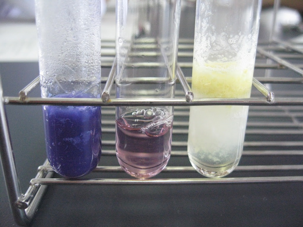タンパク質 アミノ酸の定性 微生物科学類型3年 岡山県立真庭高等学校 久世校地