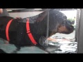 Good Health and Wordless Wednesday: Cookie Continues Her Physical Therapy during Our Trip. Elvonda