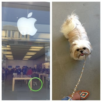 Apple Store - 26 Photos - Computers - MarinaCow Hollow - San ...