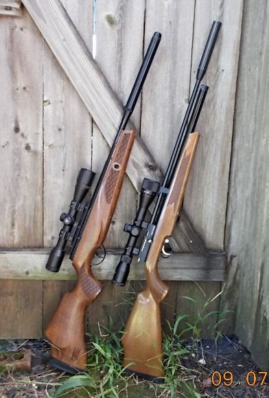 Rat Rifles Fast Or Slow Airguns Guns Forum