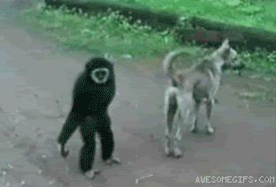 Related image