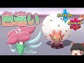 色 違い 可愛い ポケモン 642525