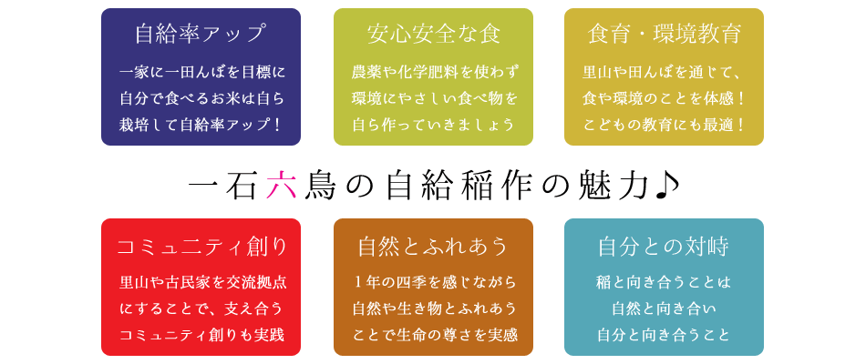 Yuinet 自然栽培の稲作で自給自足 出張版