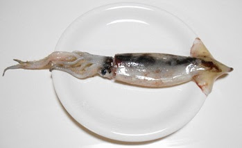 スーパーで買える釣り餌は意外とたくさんある