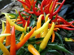 chili peppers