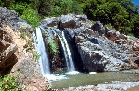Carvers Creek State Park. Yuba River State Park