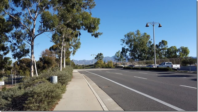 hill workout run 1 (800x450)