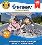 Veneev Car