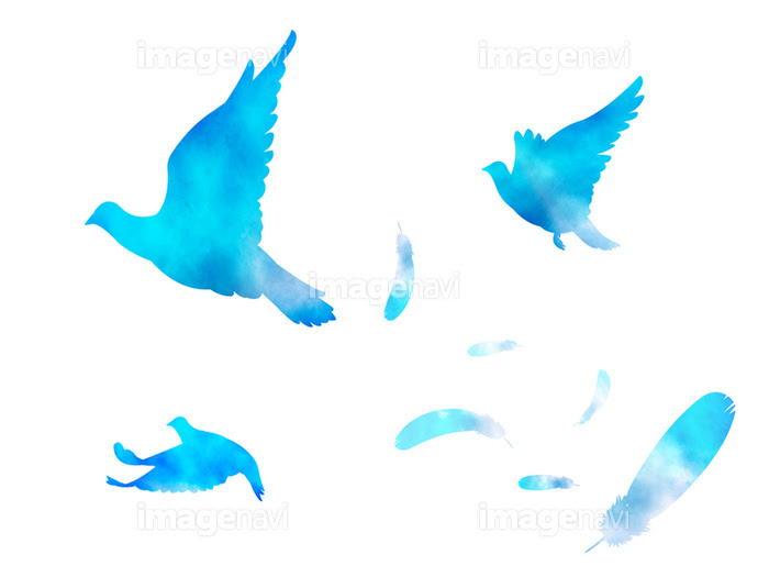水彩 青い鳥が羽ばたくイラスト の画像素材 イラスト素材ならイメージナビ