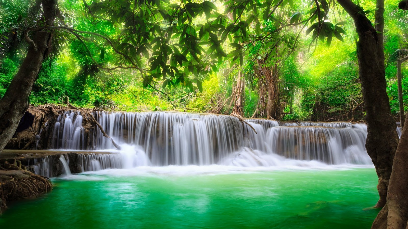 Unduh 470 Background Hd River Gratis