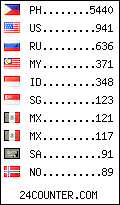 visitors by country counter