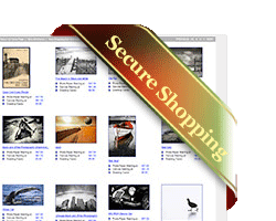 where to buy prints and posters