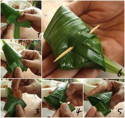 daun pandan dalam rumah