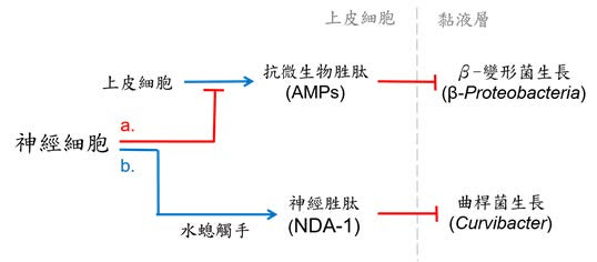 還在慢慢判定菌種 讓微生物鑑定儀幫你一把 Pansci 泛科學