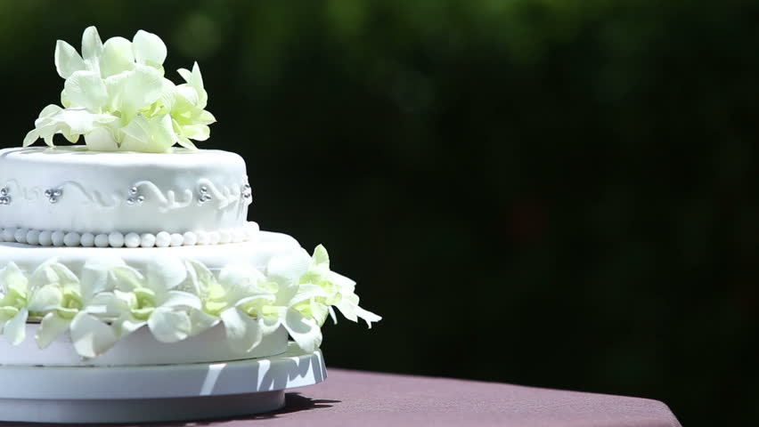 Rotating And Panoramic Closeup On Fresh White Orchid And  Rotating And Panoramic Closeup On Fresh White Orchid And