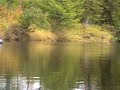 Video MOV003.MOD The Sakhalin fishing Сахалинская рыбалка