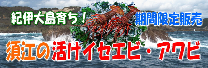 和歌山県串本町 東漁協須江支所直営イセエビ 伊勢海老 アワビ サザエのネット通販激安