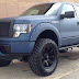 Download Blue Rhino Motors Ii