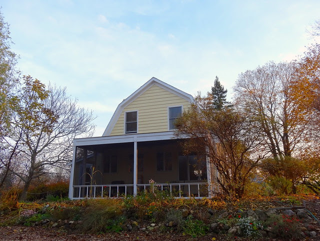 DSC00707 - Version 2