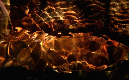 light in the water