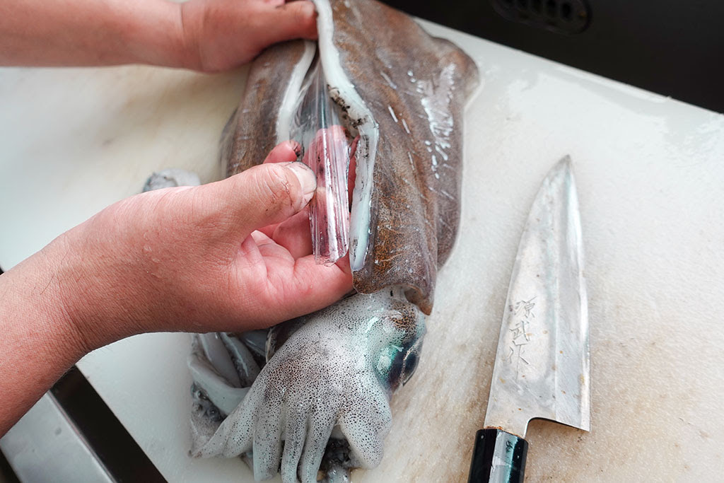 アオリイカの簡単な捌き方 家庭でもできる 越前かに 若狭三方の魚屋さん