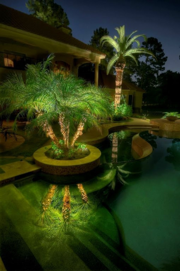 Palm Tree Pool Pictures, Photos, and Images for Facebook 