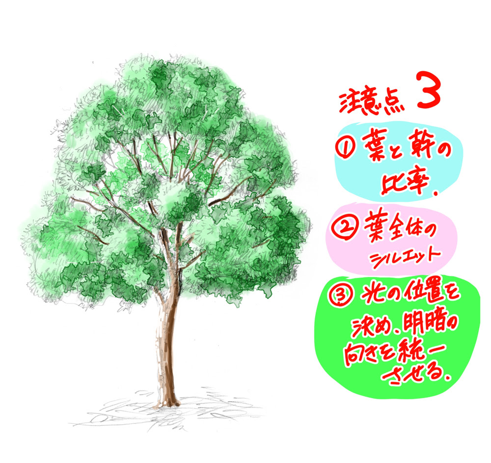 パトワ 捨てる ミュート 木 の 書き方 色鉛筆 Mikisakata Jp