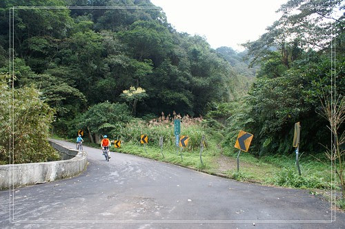 PICT5918