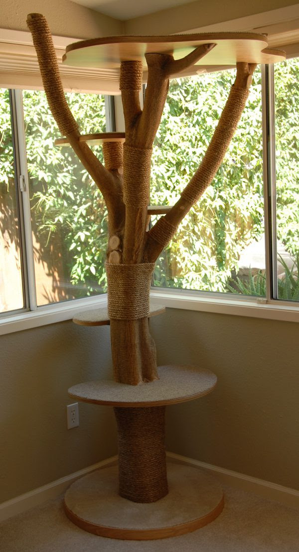 Woman Makes Her Cats A Fantastic Cat Tree From Actual 