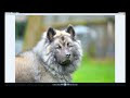 Nikon View NX2 software basics tutorial